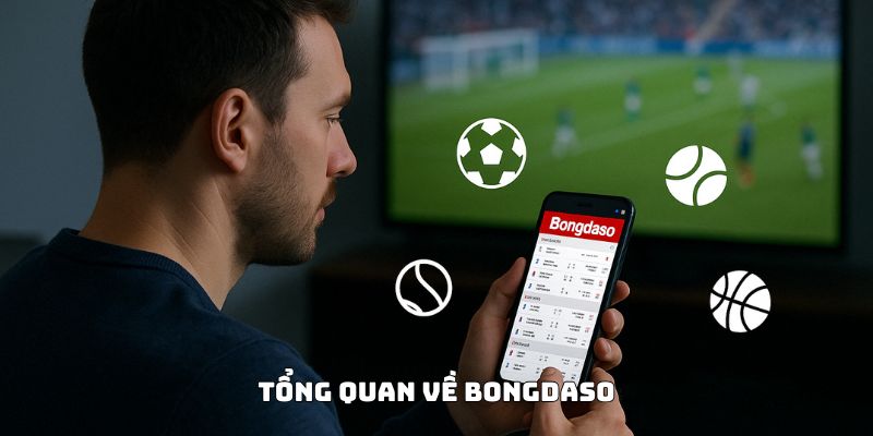 Tổng quan về Bongdaso