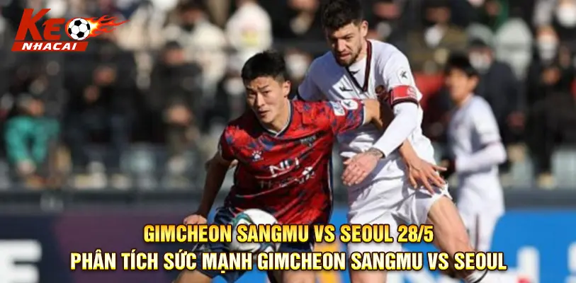 Biểu đồ sức mạnh đội hình tổng thể hai đội