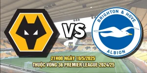 Nhận định Wolves và Brighton, 21h00 - 10/5 - Cuộc chiến cúp châu Âu